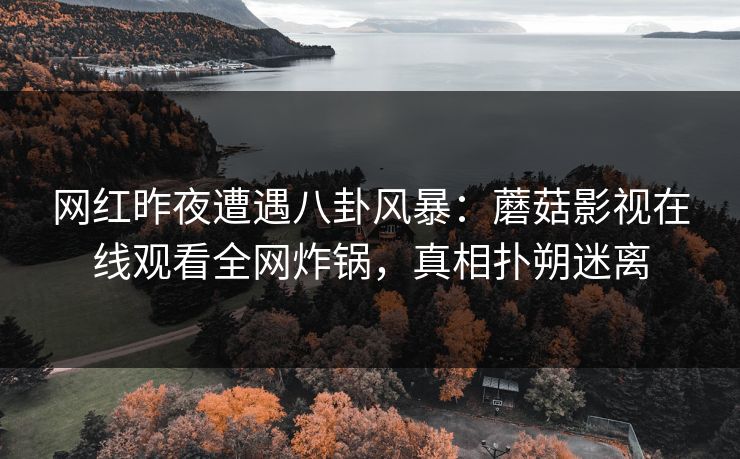 网红昨夜遭遇八卦风暴:蘑菇影视在线观看全网炸锅,真相扑朔迷离 网红昨夜遭遇八卦风暴:蘑菇影视在线观看全网炸锅,真相扑朔迷离