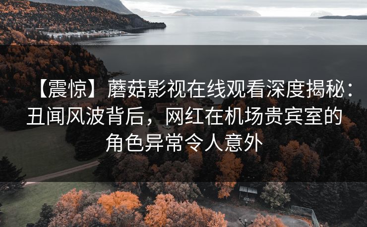 【震惊】蘑菇影视在线观看深度揭秘：丑闻风波背后，网红在机场贵宾室的角色异常令人意外