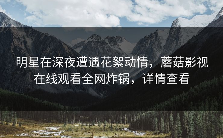 明星在深夜遭遇花絮动情，蘑菇影视在线观看全网炸锅，详情查看