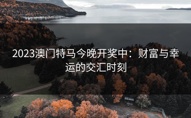 2023澳门特马今晚开奖中：财富与幸运的交汇时刻