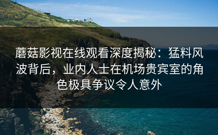 蘑菇影视在线观看深度揭秘：猛料风波背后，业内人士在机场贵宾室的角色极具争议令人意外