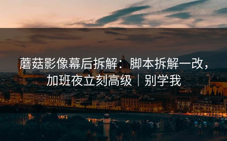 蘑菇影像幕后拆解:脚本拆解一改,加班夜立刻高级|别学我 蘑菇影像幕后拆解:脚本拆解一改,加班夜立刻高级|别学我